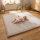 Sanosoft samtweicher und kuscheliger Krabbelteppich Hellgrau 160x230cm